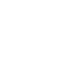 Consultation